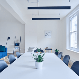 White modern office space conference room with plant on table